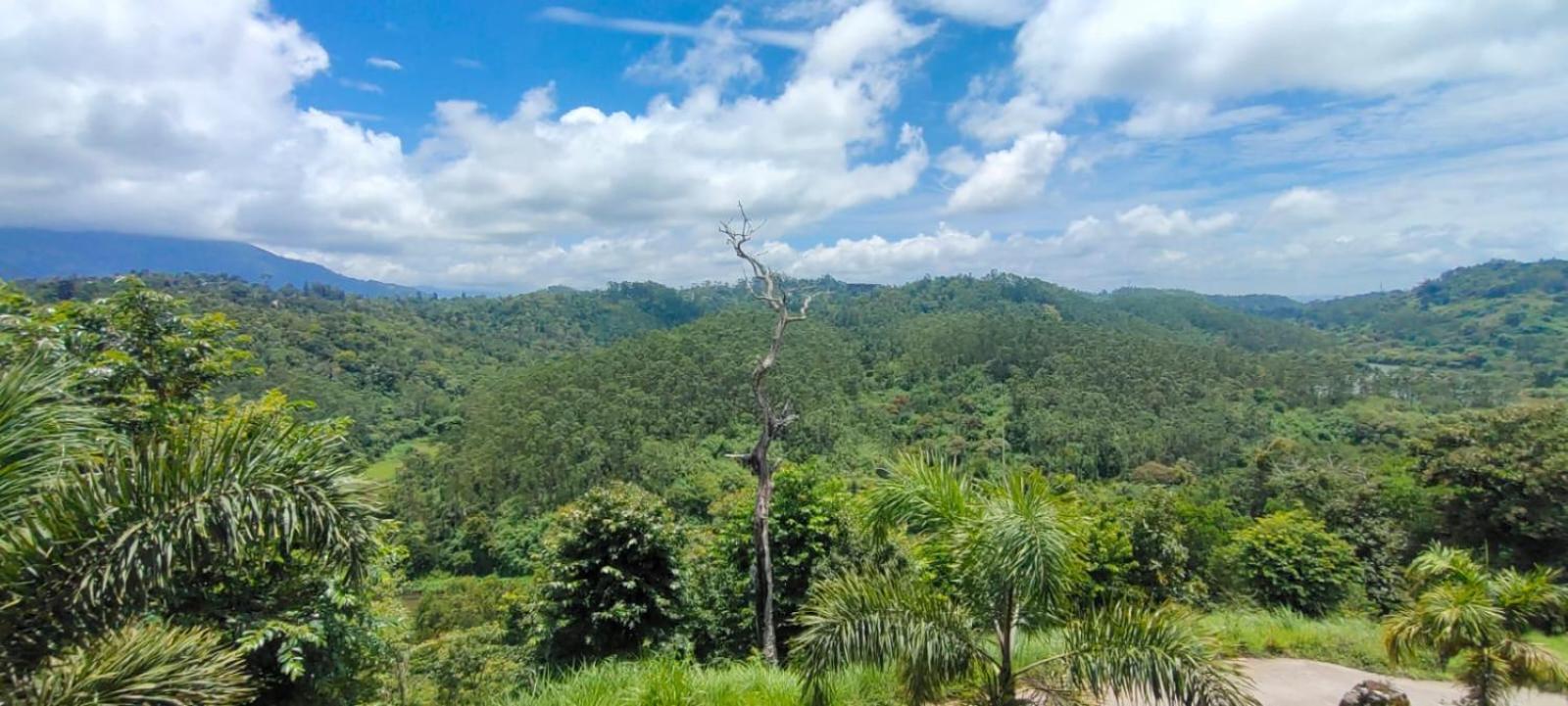 The Lake View Munnar Exterior foto